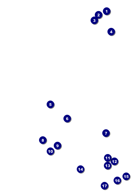 Chinese New Year Post Card Front Field Markers