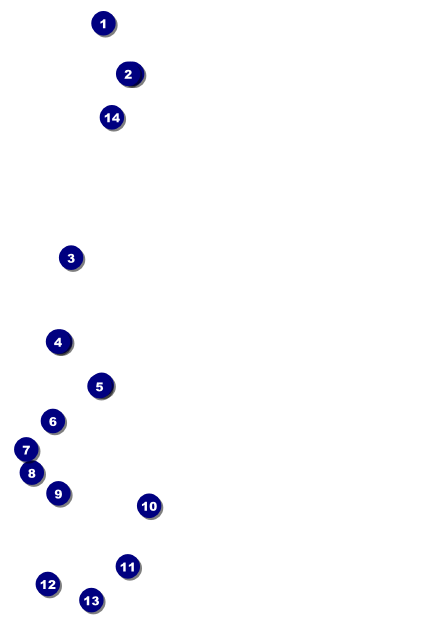 Carnival Postcard Front Field Markers