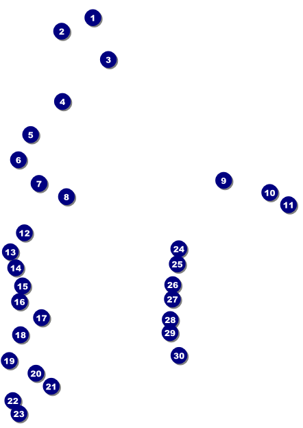 MMA Main Event Postcard (Blue) Front Field Markers
