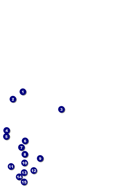 Bamboo Postcard Front Field Markers