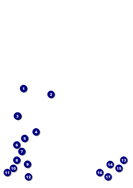 Golden Ornament Postcard Front Field Markers