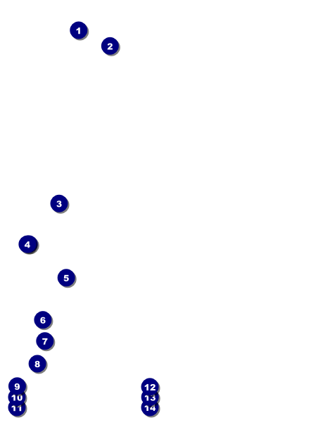 Bowling League Postcard Front Field Markers