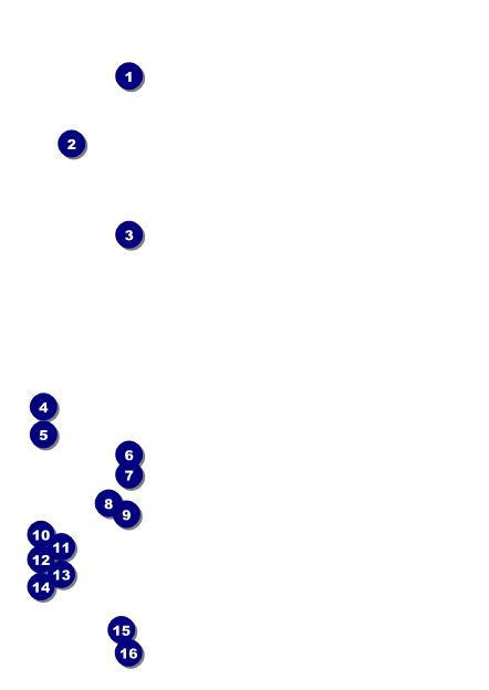 African Theme Postcard Front Field Markers
