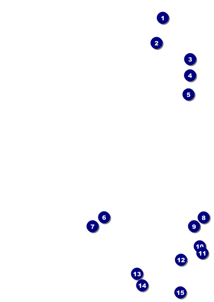Diabetes Postcard Front Field Markers