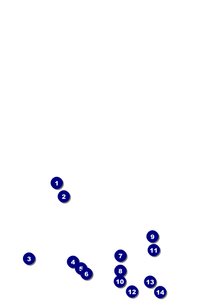 Dinosaur Postcard Front Field Markers