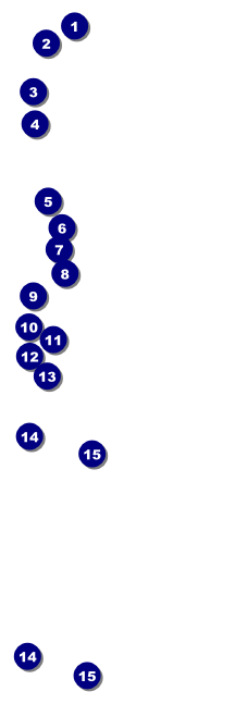 Twenties Raffle Ticket Front Field Markers