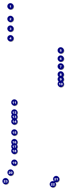 Fundraising Thermometer VIP Pass Front Field Markers