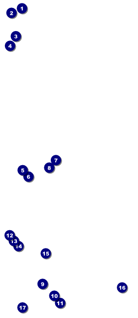 All Purpose Angle VIP Pass Front Field Markers