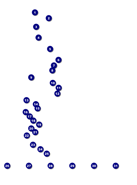 Yellow Rose Flyer Front Field Markers
