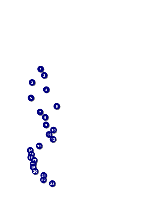 St. Patrick's Day Flyer 003 Front Field Markers