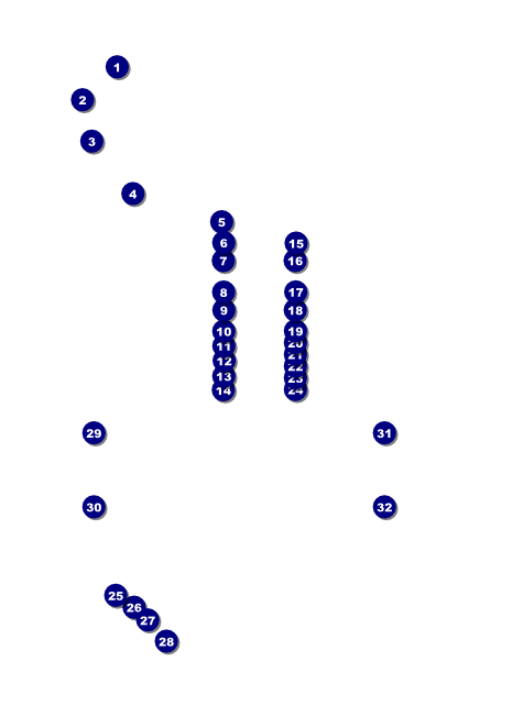 Banjo Flyer Front Field Markers