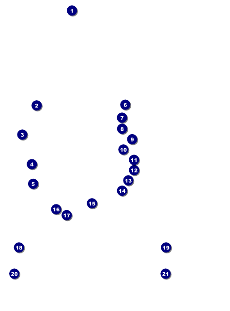 Bowling Classic Flyer Front Field Markers