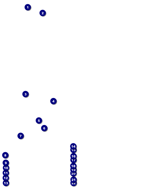 Renaissance Fair Armor Flyer Front Field Markers