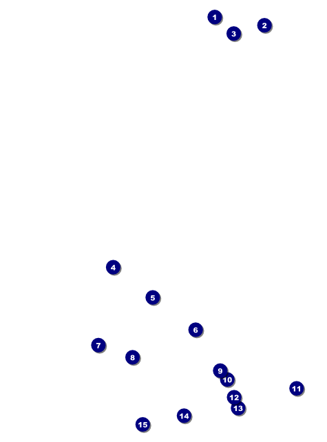 Chinese New Year 2014 Flyer Front Field Markers