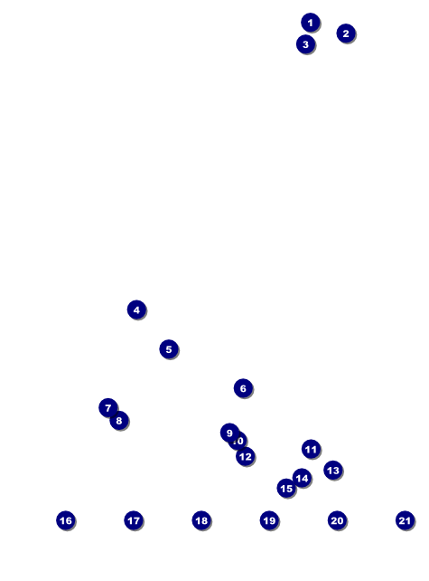 Chinese New Year 2014 Flyer with image uploads Front Field Markers