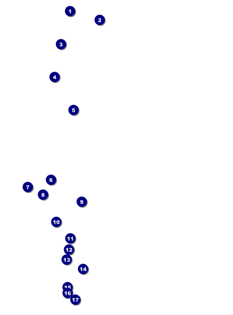 Murder Mystery Flyer Front Field Markers