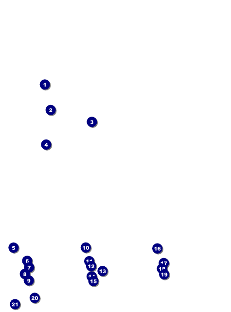 Pig Roast Flyer Front Field Markers