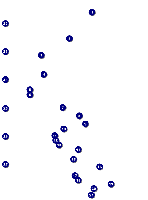 Reunion Logo Flyer Front Field Markers