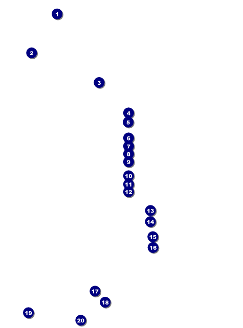 Potluck Flyer Front Field Markers