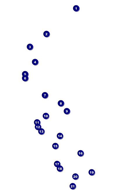 Reunion Poster Front Field Markers