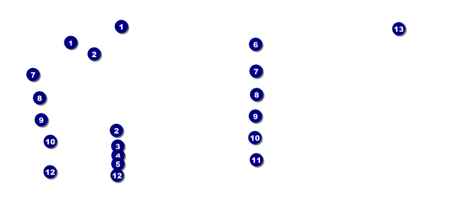Present Gift Certificate (blue) Front Field Markers