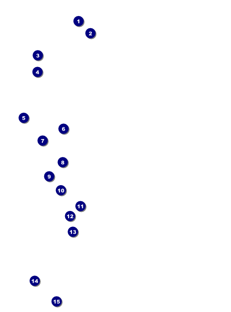 All Purpose Stars Flyer Front Field Markers