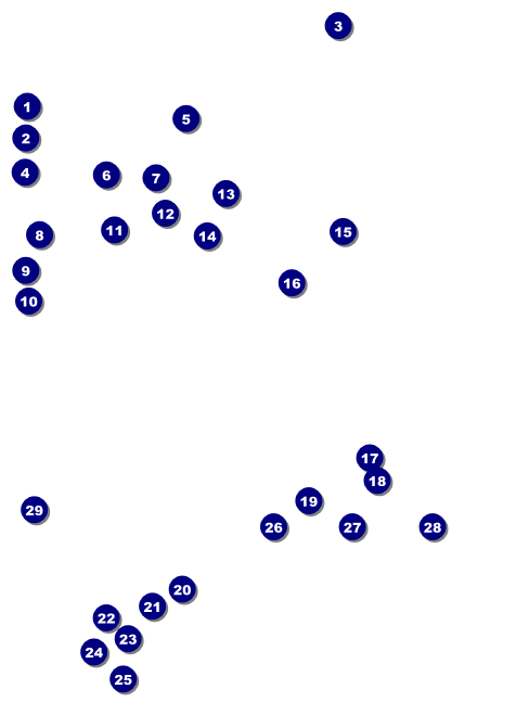 Lacrosse LAX Stick Invitation Front Field Markers