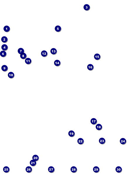 Lacrosse LAX Stick Image Flyer Front Field Markers