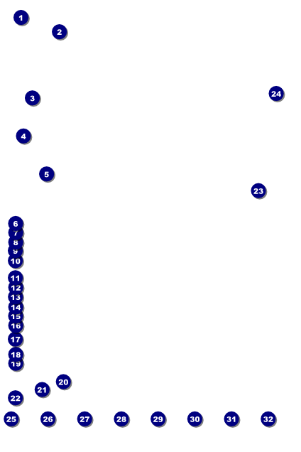 Chinese New Year Snake Image Poster Front Field Markers