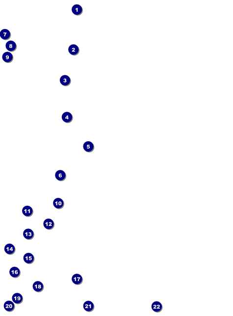 Modern Rodeo Flyer Front Field Markers