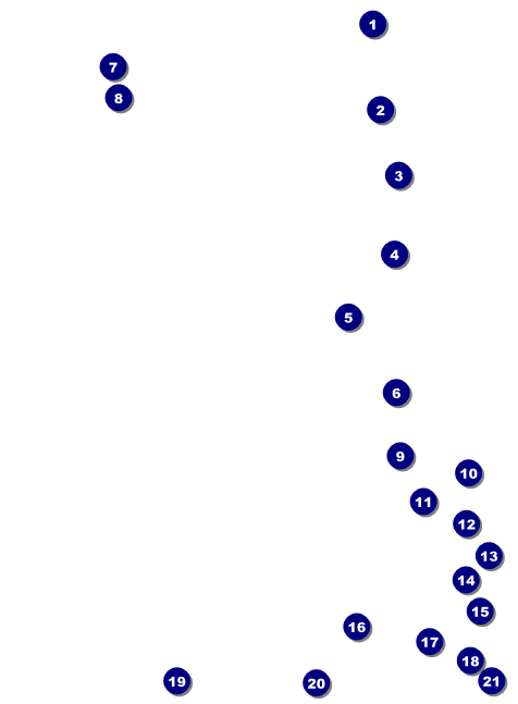 Modern Rodeo Invitation Front Field Markers