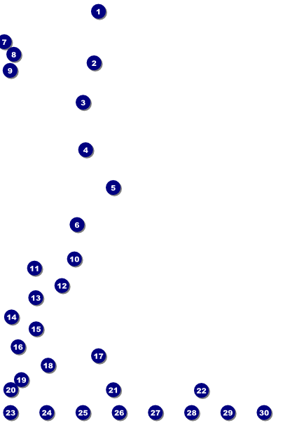 Modern Rodeo Image Poster Front Field Markers