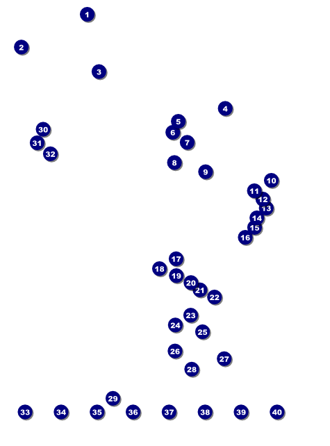 Rodeo Rustic Image Flyer Front Field Markers