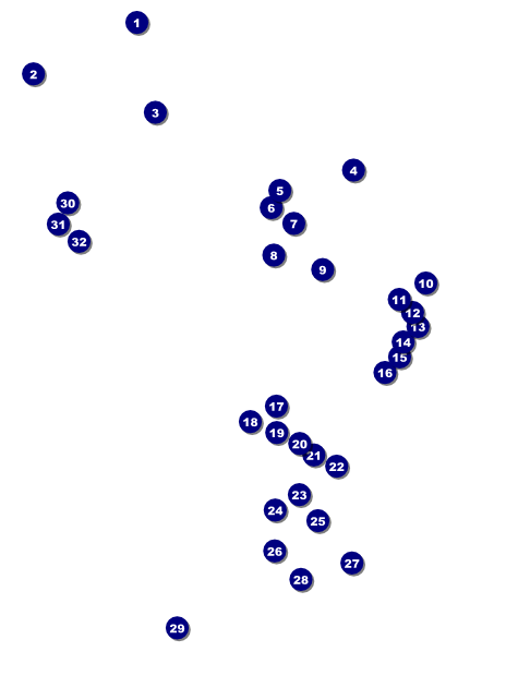 Rodeo Rustic Flyer Front Field Markers