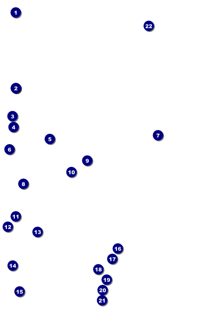 Roller Derby Poster Front Field Markers