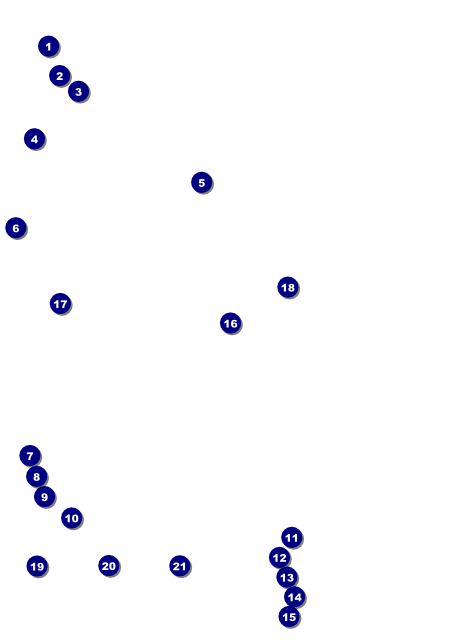 Roller Derby Pink Leopard Flyer Front Field Markers