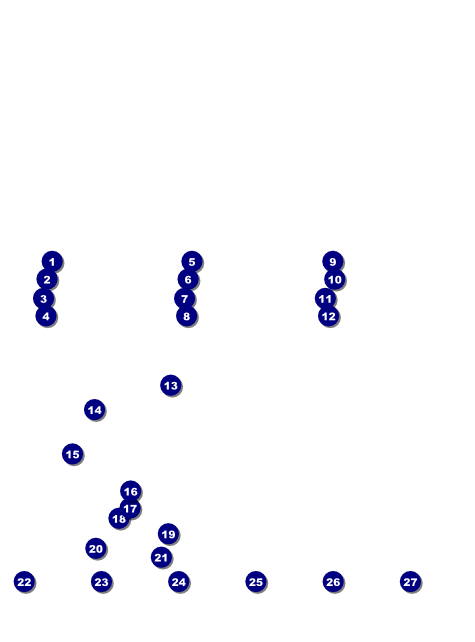 Triathlon Image Flyer Front Field Markers