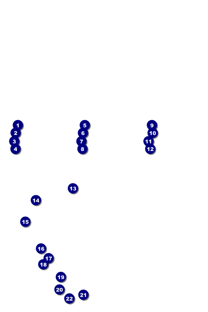Triathlon Poster Front Field Markers