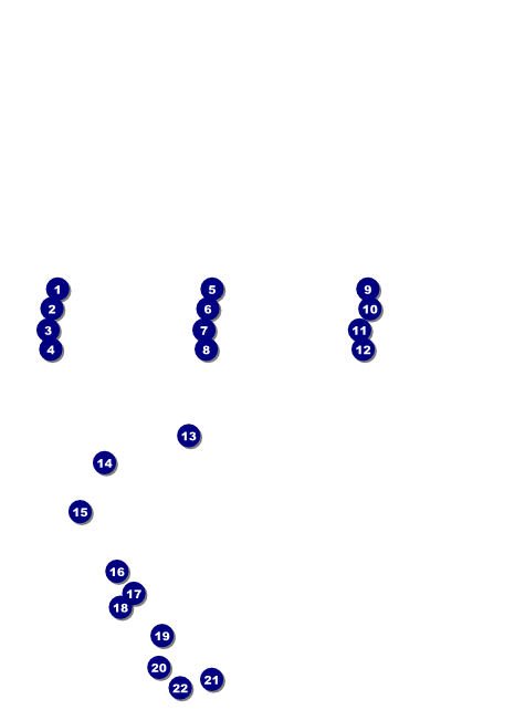 Triathlon Flyer Front Field Markers