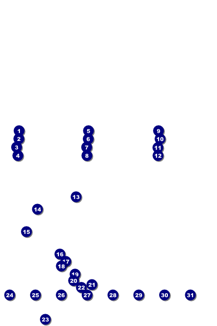 Triathlon Image Poster Front Field Markers