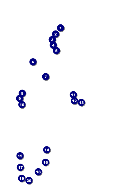 Toronto Invitation Front Field Markers