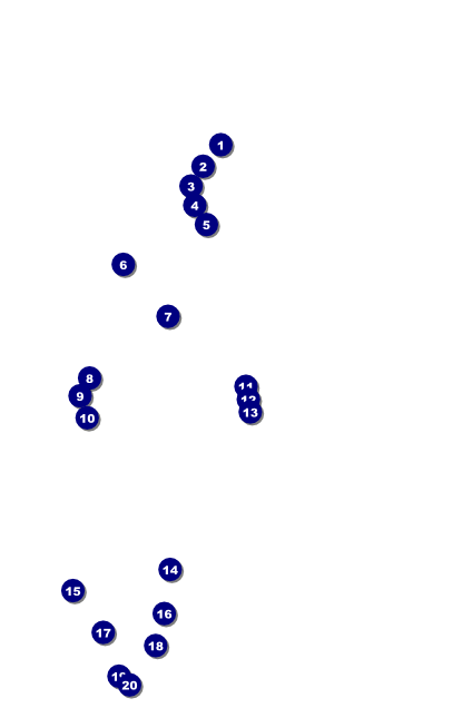 Toronto Poster Front Field Markers