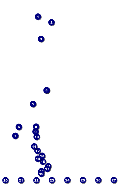 Lacrosse Image Poster Front Field Markers