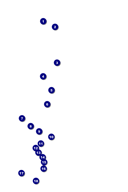 All Purpose Skyline Black and White Poster Front Field Markers