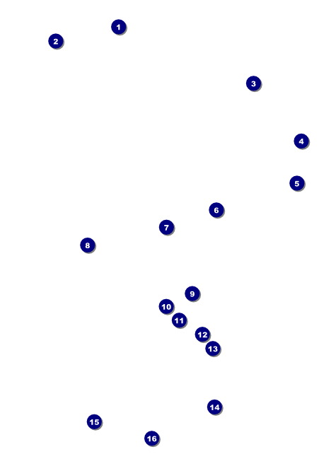 All Purpose Triangles Black and White Flyer Front Field Markers