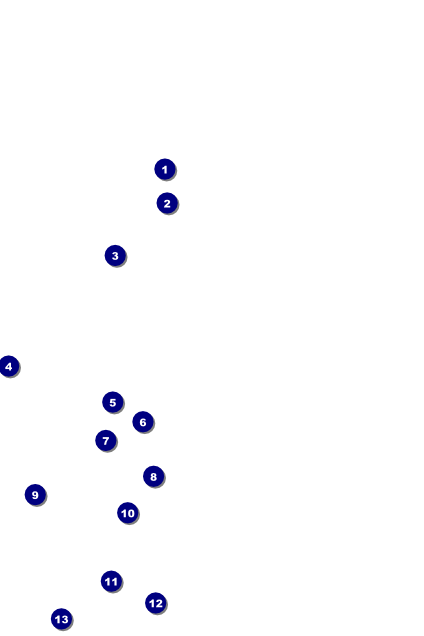 Fall Leaves Poster Front Field Markers