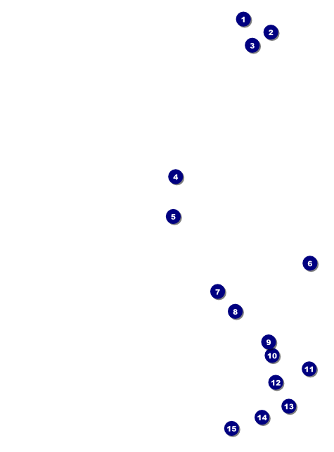 Chinese New Year Rabbit Flyer Front Field Markers