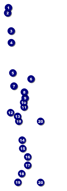 Pool Challenge Raffle Ticket Front Field Markers
