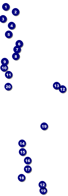 Your Image Black Raffle Ticket 0007 Front Field Markers