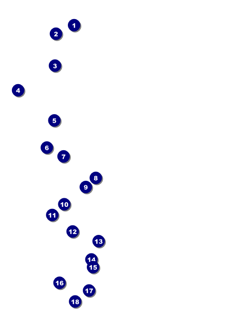 Graduation - Blue and Yellow Postcard Front Field Markers